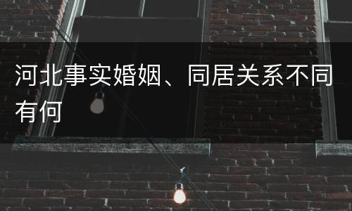 河北事实婚姻、同居关系不同有何