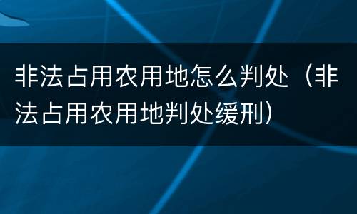非法占用农用地怎么判处（非法占用农用地判处缓刑）
