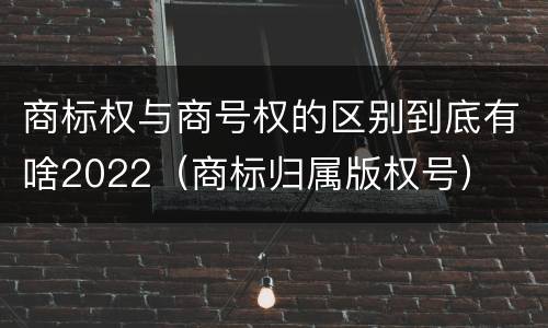 商标权与商号权的区别到底有啥2022（商标归属版权号）