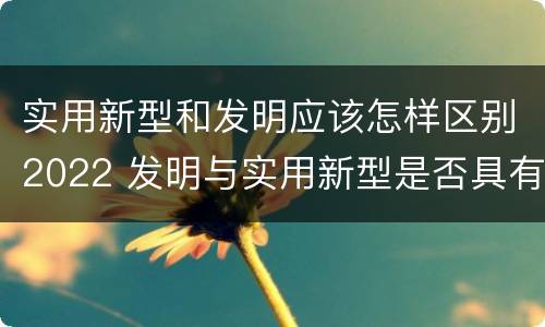 实用新型和发明应该怎样区别2022 发明与实用新型是否具有实用性