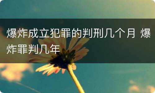 爆炸成立犯罪的判刑几个月 爆炸罪判几年