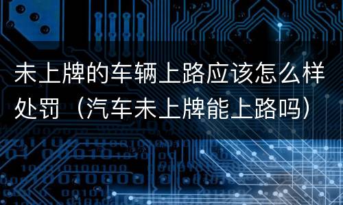 未上牌的车辆上路应该怎么样处罚（汽车未上牌能上路吗）