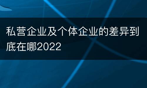 私营企业及个体企业的差异到底在哪2022