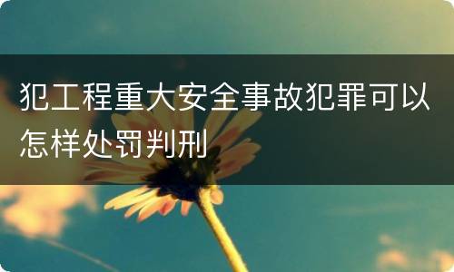 犯工程重大安全事故犯罪可以怎样处罚判刑