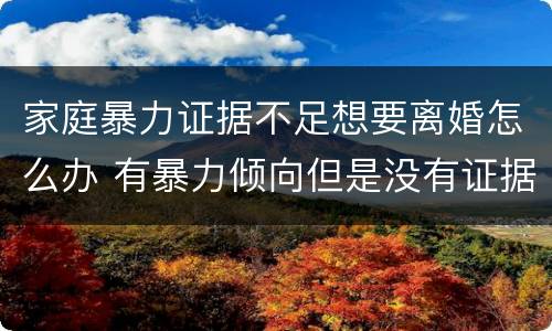 家庭暴力证据不足想要离婚怎么办 有暴力倾向但是没有证据怎么办离婚