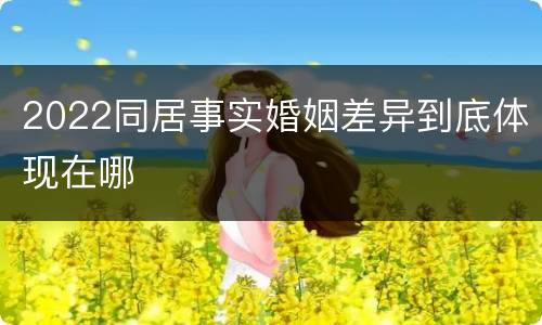 2022同居事实婚姻差异到底体现在哪