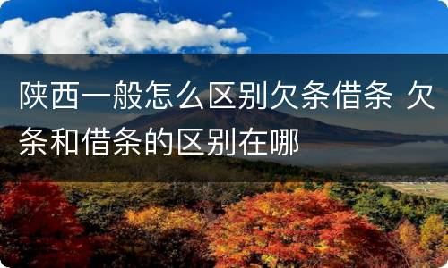 陕西一般怎么区别欠条借条 欠条和借条的区别在哪