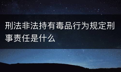 刑法非法持有毒品行为规定刑事责任是什么