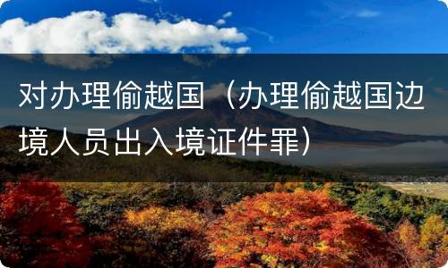 对办理偷越国（办理偷越国边境人员出入境证件罪）