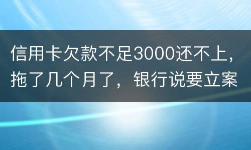 信用卡欠款不足3000还不上，拖了几个月了，银行说要立案，会坐牢吗