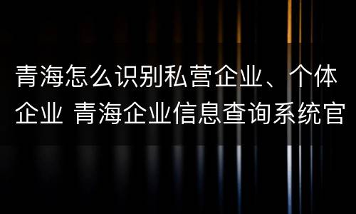 青海怎么识别私营企业、个体企业 青海企业信息查询系统官网