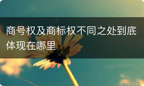 商号权及商标权不同之处到底体现在哪里