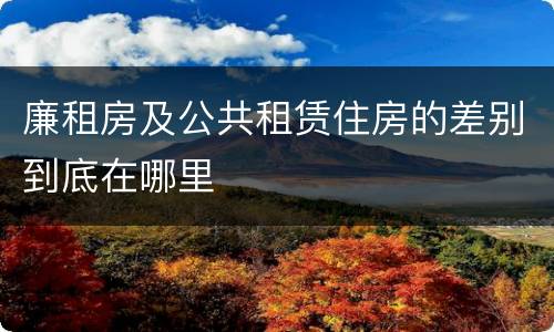 廉租房及公共租赁住房的差别到底在哪里