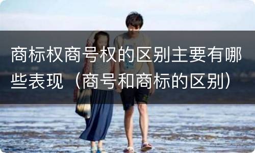 商标权商号权的区别主要有哪些表现（商号和商标的区别）