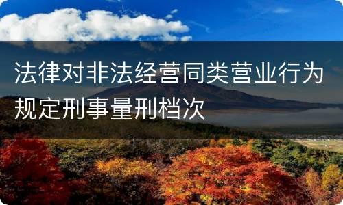 法律对非法经营同类营业行为规定刑事量刑档次