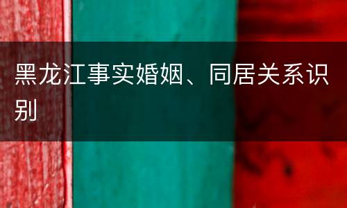 黑龙江事实婚姻、同居关系识别