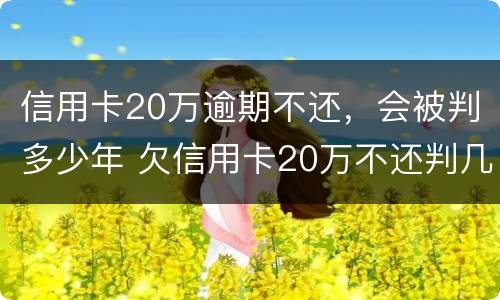 信用卡20万逾期不还，会被判多少年 欠信用卡20万不还判几年