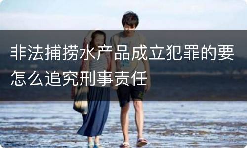 非法捕捞水产品成立犯罪的要怎么追究刑事责任