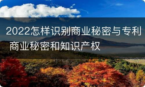 2022怎样识别商业秘密与专利 商业秘密和知识产权