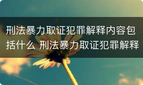 刑法暴力取证犯罪解释内容包括什么 刑法暴力取证犯罪解释内容包括什么