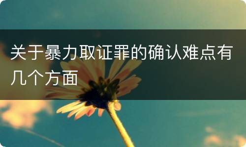 关于暴力取证罪的确认难点有几个方面