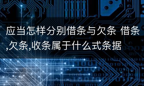 应当怎样分别借条与欠条 借条,欠条,收条属于什么式条据