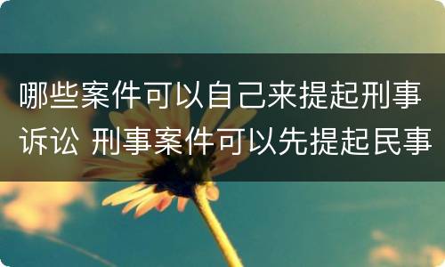 哪些案件可以自己来提起刑事诉讼 刑事案件可以先提起民事诉讼吗