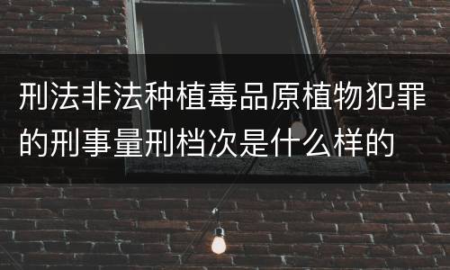 刑法非法种植毒品原植物犯罪的刑事量刑档次是什么样的