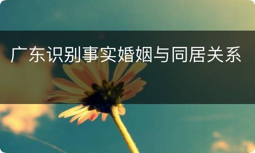 广东识别事实婚姻与同居关系