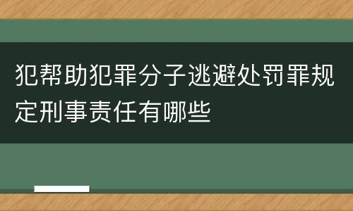 犯帮助犯罪分子逃避处罚罪规定刑事责任有哪些