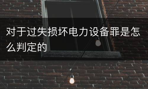 对于过失损坏电力设备罪是怎么判定的