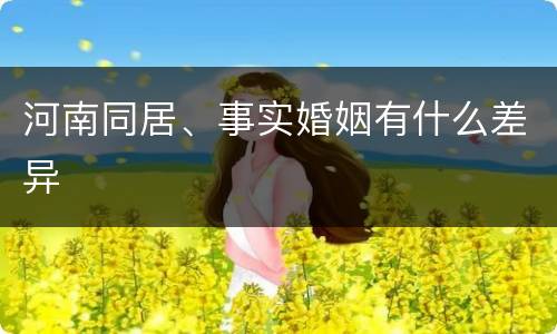 河南同居、事实婚姻有什么差异