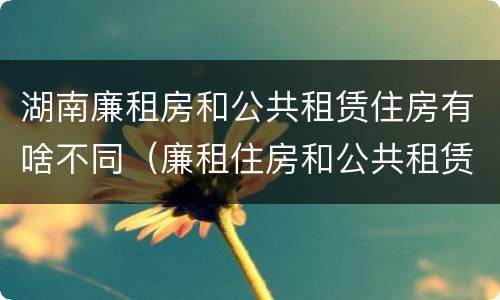 湖南廉租房和公共租赁住房有啥不同（廉租住房和公共租赁住房的区别）