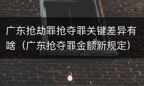 广东抢劫罪抢夺罪关键差异有啥（广东抢夺罪金额新规定）