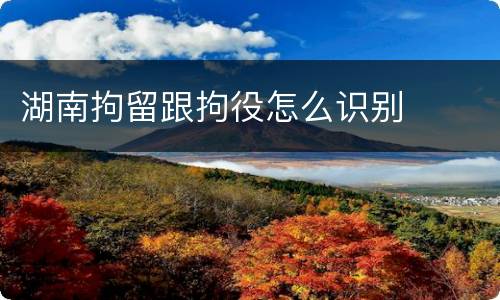 湖南拘留跟拘役怎么识别