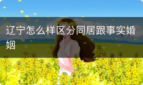 辽宁怎么样区分同居跟事实婚姻