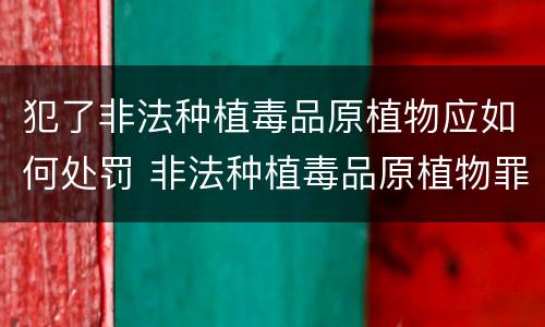 犯了非法种植毒品原植物应如何处罚 非法种植毒品原植物罪是什么犯罪类型