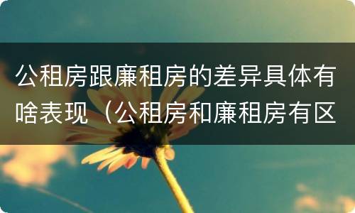 公租房跟廉租房的差异具体有啥表现（公租房和廉租房有区别吗）