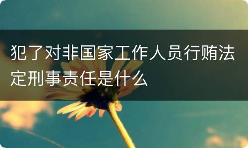 犯了对非国家工作人员行贿法定刑事责任是什么