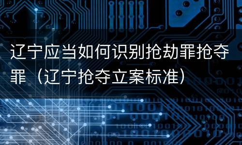 辽宁应当如何识别抢劫罪抢夺罪（辽宁抢夺立案标准）