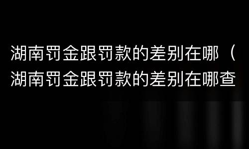 湖南罚金跟罚款的差别在哪（湖南罚金跟罚款的差别在哪查）