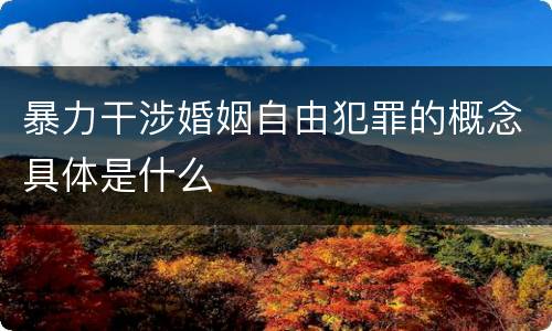 暴力干涉婚姻自由犯罪的概念具体是什么