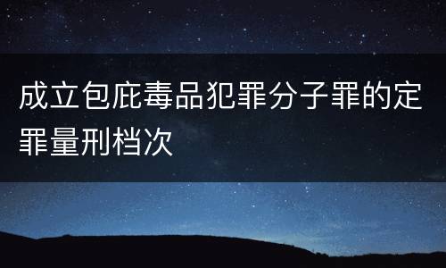 成立包庇毒品犯罪分子罪的定罪量刑档次