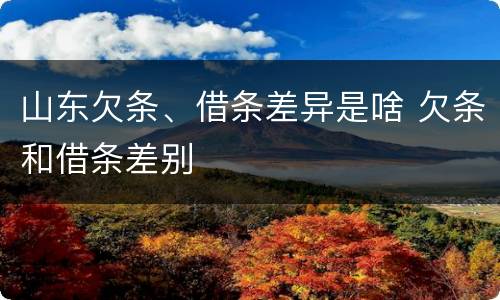山东欠条、借条差异是啥 欠条和借条差别