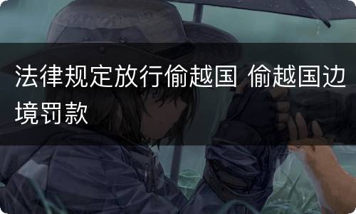 法律规定放行偷越国 偷越国边境罚款