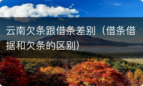云南欠条跟借条差别（借条借据和欠条的区别）