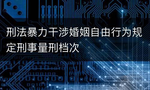 刑法暴力干涉婚姻自由行为规定刑事量刑档次