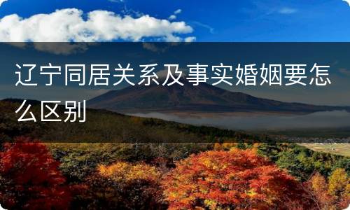 辽宁同居关系及事实婚姻要怎么区别