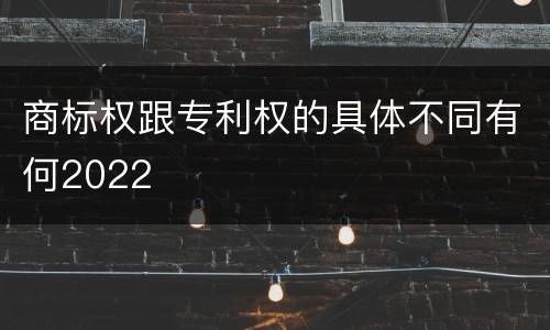商标权跟专利权的具体不同有何2022