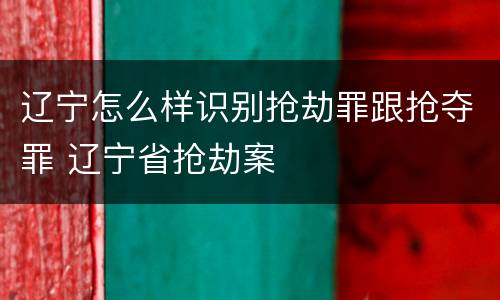 辽宁怎么样识别抢劫罪跟抢夺罪 辽宁省抢劫案